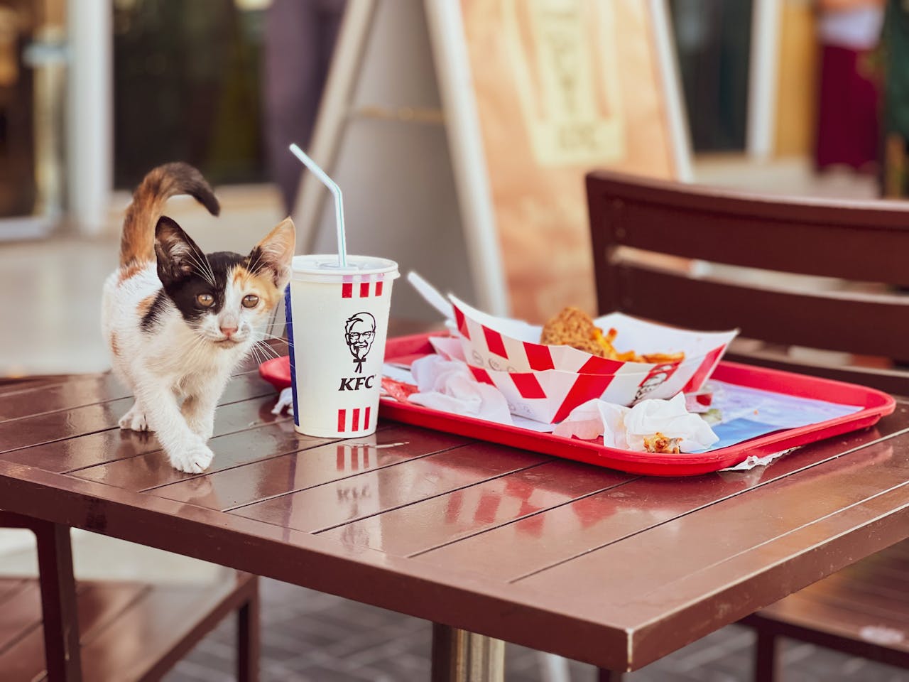 Aktuální vývoj kauzy KFC v Prosinci 2025: Skandál s prošlým kuřecím masem a systémové problémy